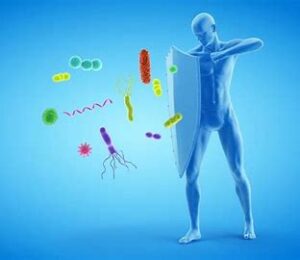 imunita vitamíny imunitní system čaje nemoc zdraví