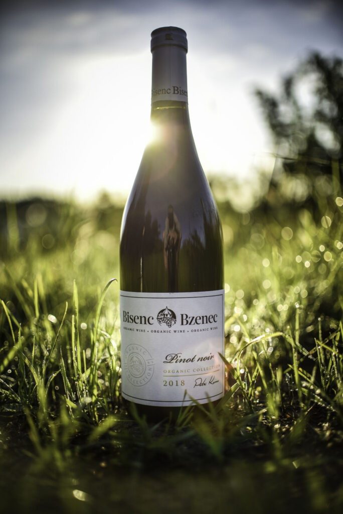 bez histaminu bio víno Bisenc Bzenec